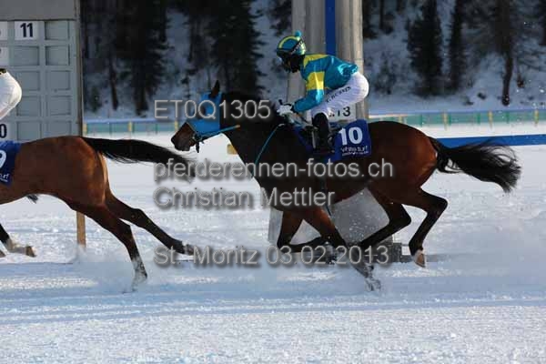ET0Q1305 prot